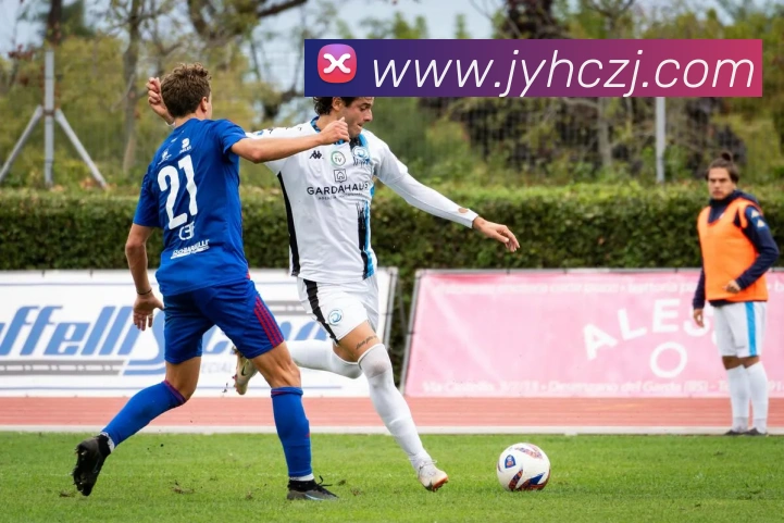 九游会j9平台生态图